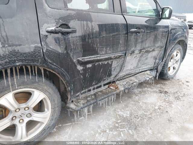 5FNYF4H26EB502423 Honda PILOT LX