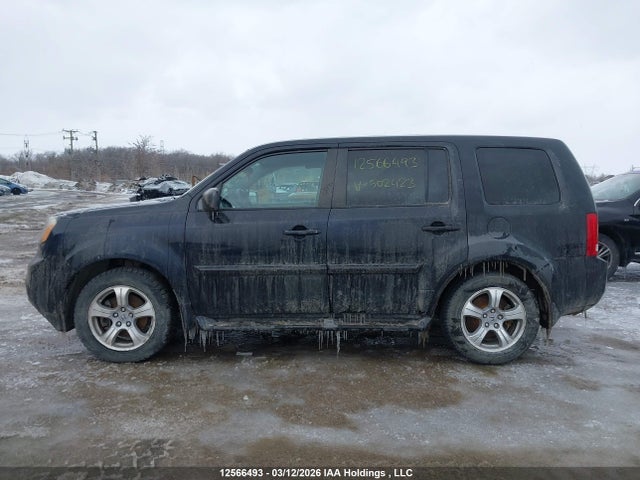 5FNYF4H26EB502423 Honda PILOT LX