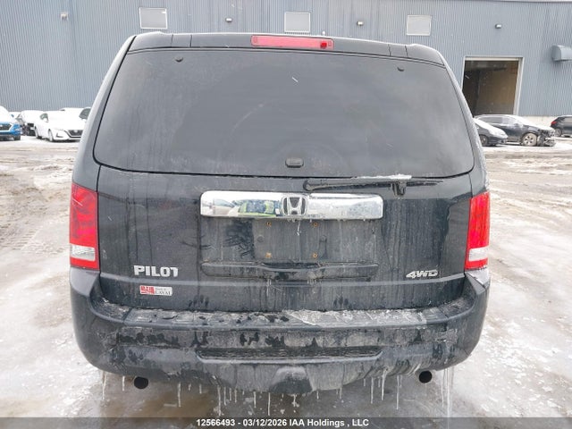 5FNYF4H26EB502423 Honda PILOT LX