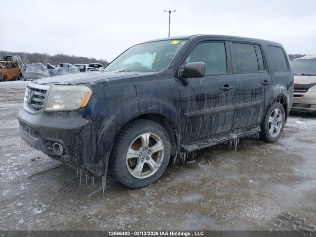 5FNYF4H26EB502423 Honda PILOT LX