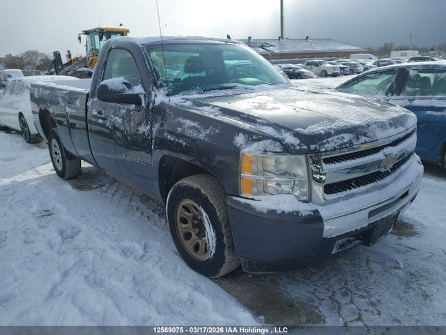 2010 Chevrolet Silverado 1500 მანქანა იყიდება აუქციონზე, vin: 1GCPCREA4AZ119601, აუქციონის ნომერი: 12569075