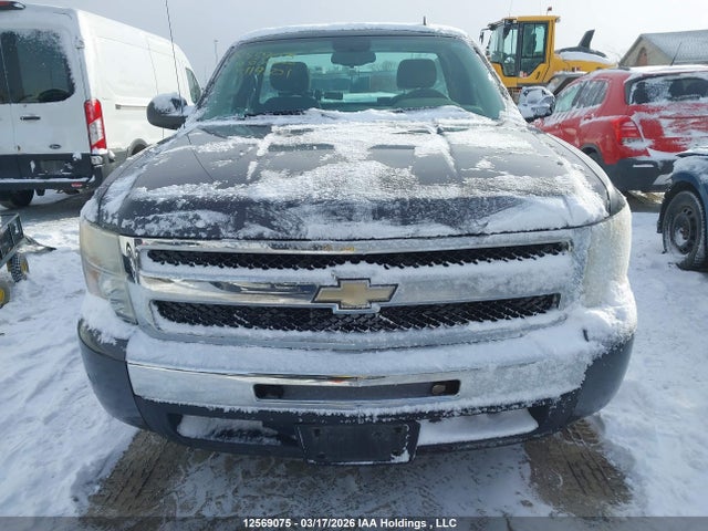 2010 Chevrolet Silverado 1500 მანქანა იყიდება აუქციონზე, vin: 1GCPCREA4AZ119601, აუქციონის ნომერი: 12569075