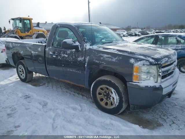 2010 Chevrolet Silverado 1500 მანქანა იყიდება აუქციონზე, vin: 1GCPCREA4AZ119601, აუქციონის ნომერი: 12569075