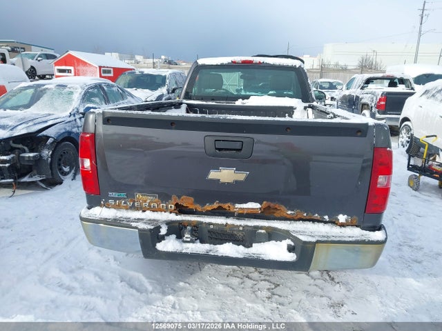2010 Chevrolet Silverado 1500 მანქანა იყიდება აუქციონზე, vin: 1GCPCREA4AZ119601, აუქციონის ნომერი: 12569075