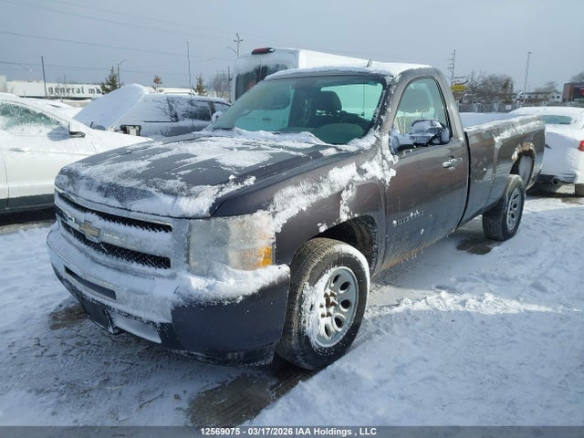 2010 Chevrolet Silverado 1500 მანქანა იყიდება აუქციონზე, vin: 1GCPCREA4AZ119601, აუქციონის ნომერი: 12569075