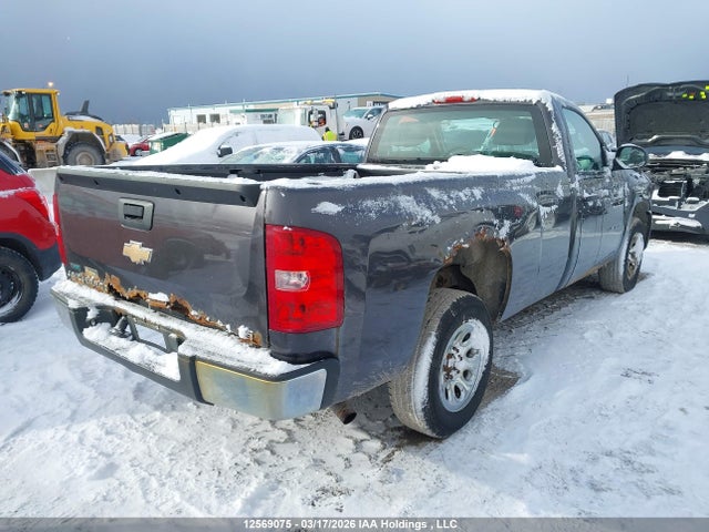 2010 Chevrolet Silverado 1500 მანქანა იყიდება აუქციონზე, vin: 1GCPCREA4AZ119601, აუქციონის ნომერი: 12569075