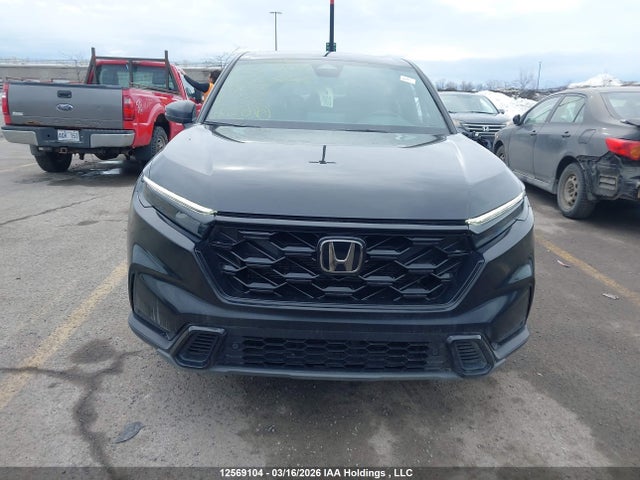 2HKRS6H76RH220667 Honda CR-V EXL