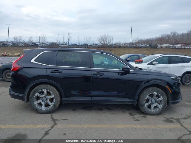 2HKRS6H76RH220667 Honda CR-V EXL