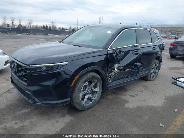 2HKRS6H76RH220667 Honda CR-V EXL
