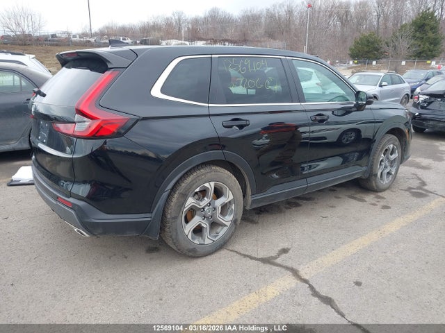 2HKRS6H76RH220667 Honda CR-V EXL