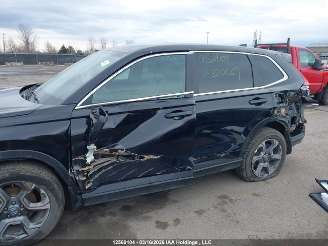 2HKRS6H76RH220667 Honda CR-V EXL