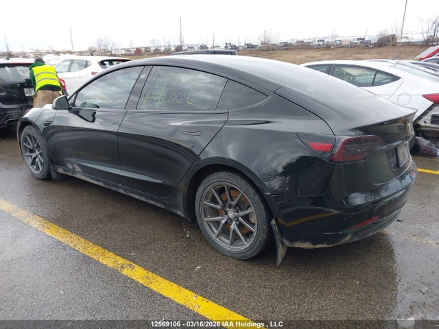 2019 Tesla Model 3 Long Range/mid Range/standard Range/standard Range Plus მანქანა იყიდება აუქციონზე, vin: 5YJ3E1EA9KF420012, აუქციონის ნომერი: 12569106