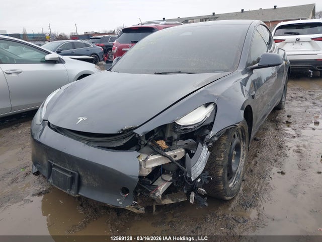 Tesla MODEL 3 2023 5YJ3E1EA2PF686592 Image 2