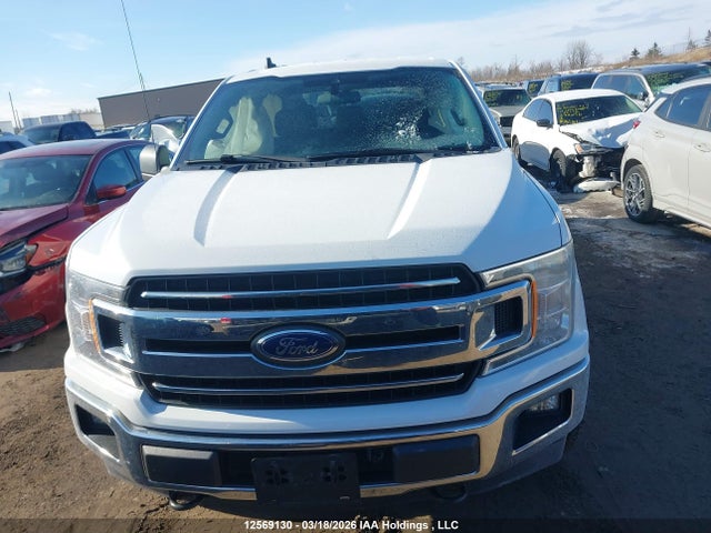 Aukcja sprzedaży 2019 Ford F-150 Xlt, vin: 1FTEW1EB5KFD38868, numer aukcji: 12569130