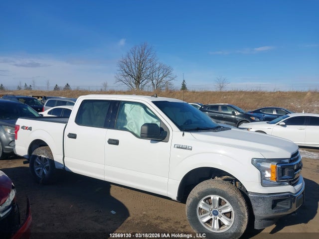 Aukcja sprzedaży 2019 Ford F-150 Xlt, vin: 1FTEW1EB5KFD38868, numer aukcji: 12569130