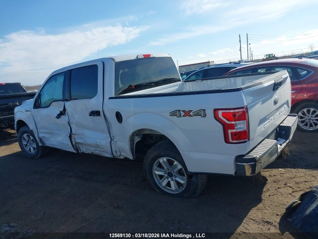 Aukcja sprzedaży 2019 Ford F-150 Xlt, vin: 1FTEW1EB5KFD38868, numer aukcji: 12569130