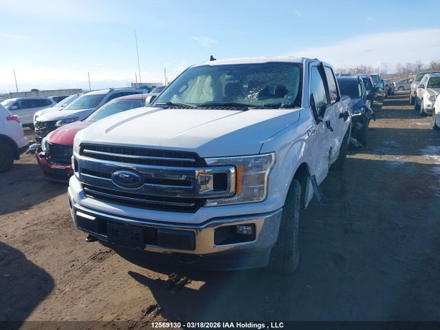Aukcja sprzedaży 2019 Ford F-150 Xlt, vin: 1FTEW1EB5KFD38868, numer aukcji: 12569130