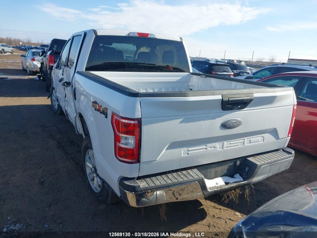 Aukcja sprzedaży 2019 Ford F-150 Xlt, vin: 1FTEW1EB5KFD38868, numer aukcji: 12569130