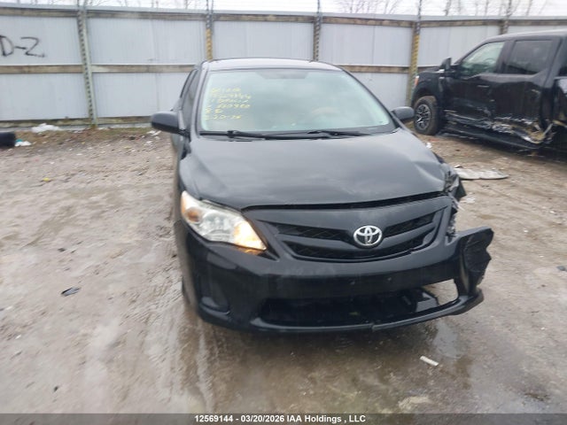 12569144 :رقم المزاد ، 2T1BU4EE0BC660380 vin ، 2011 Toyota Corolla مزاد بيع