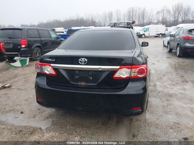 12569144 :رقم المزاد ، 2T1BU4EE0BC660380 vin ، 2011 Toyota Corolla مزاد بيع