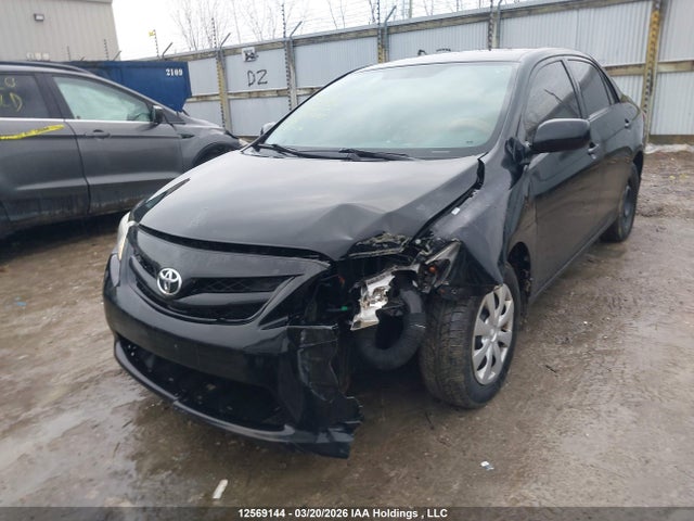 12569144 :رقم المزاد ، 2T1BU4EE0BC660380 vin ، 2011 Toyota Corolla مزاد بيع