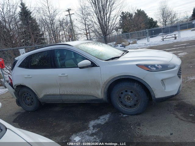 Продажа на аукционе авто 2021 Ford Escape Phev Sel, vin: 1FMCU0KZ5MUA53252, номер лота: 12561127