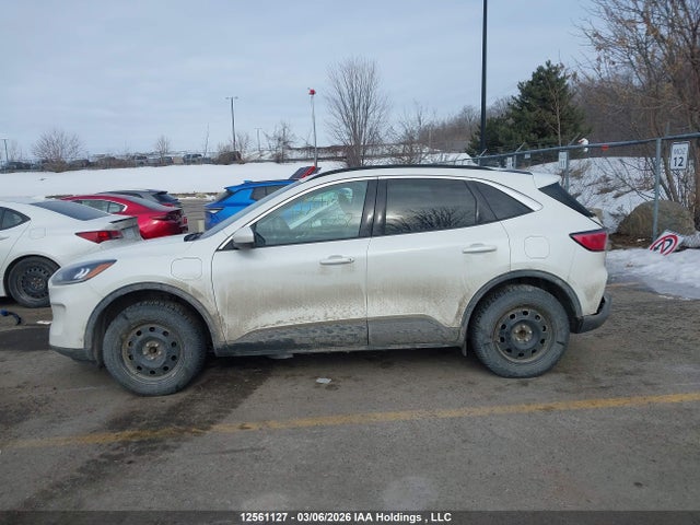 Продажа на аукционе авто 2021 Ford Escape Phev Sel, vin: 1FMCU0KZ5MUA53252, номер лота: 12561127