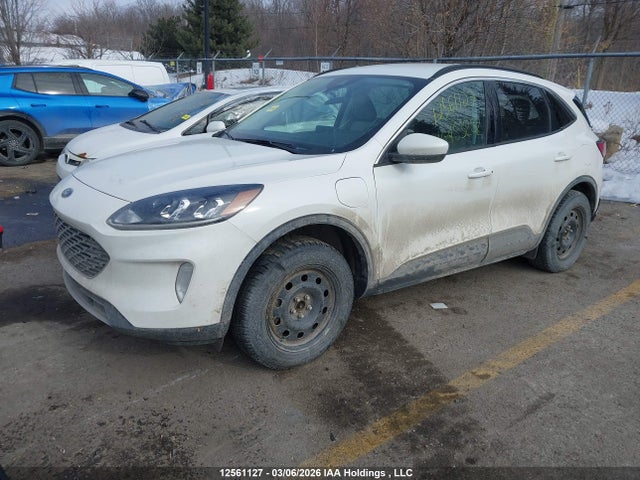 Продажа на аукционе авто 2021 Ford Escape Phev Sel, vin: 1FMCU0KZ5MUA53252, номер лота: 12561127