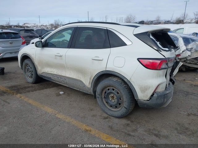 Продажа на аукционе авто 2021 Ford Escape Phev Sel, vin: 1FMCU0KZ5MUA53252, номер лота: 12561127