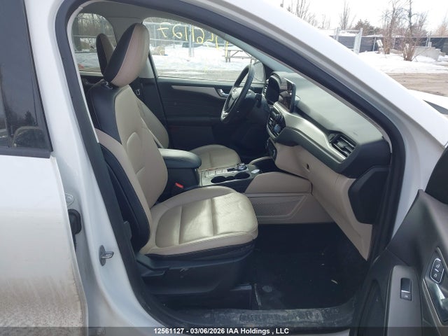 Продажа на аукционе авто 2021 Ford Escape Phev Sel, vin: 1FMCU0KZ5MUA53252, номер лота: 12561127