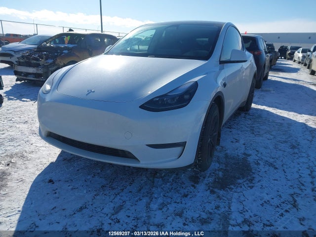 Aukcja sprzedaży 2024 Tesla Model Y, vin: 7SAYGAEE7RF074591, numer aukcji: 12569207
