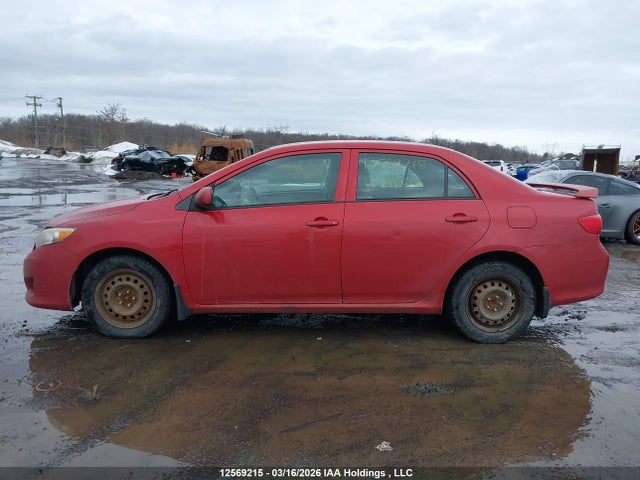 12569215 :رقم المزاد ، 2T1BU4EE6AC198406 vin ، 2010 Toyota Corolla مزاد بيع