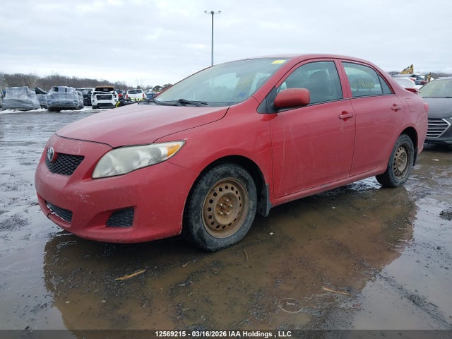 12569215 :رقم المزاد ، 2T1BU4EE6AC198406 vin ، 2010 Toyota Corolla مزاد بيع
