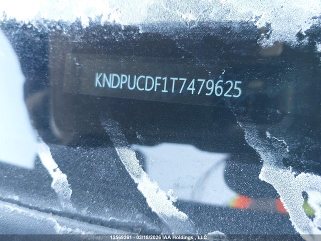 Продажа на аукционе авто 2026 Kia Sportage Lx, vin: KNDPUCDF1T7479625, номер лота: 12569261