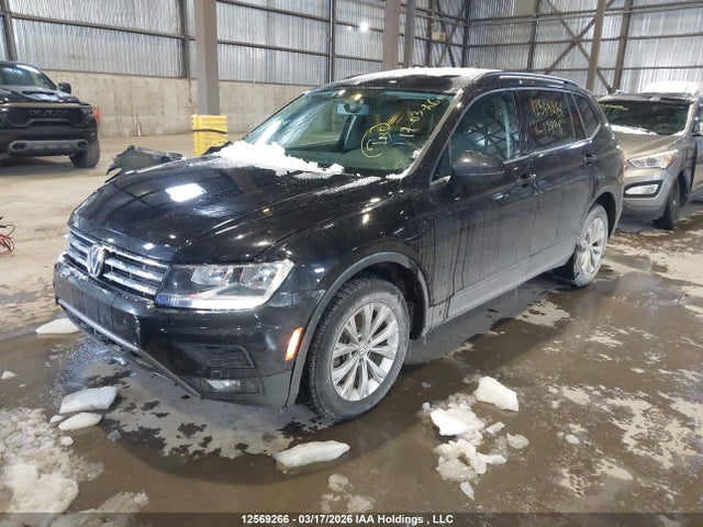 3VV0B7AX7JM117878 Volkswagen Tiguan Trendline