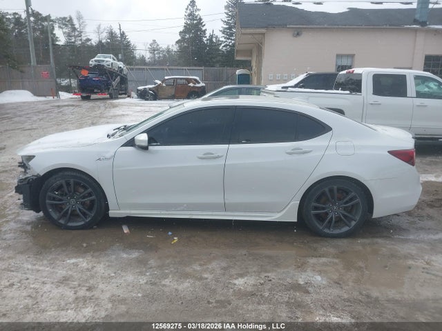 Aukcja sprzedaży 2019 Acura Tlx Tech A-spec, vin: 19UUB1F66KA800233, numer aukcji: 12569275