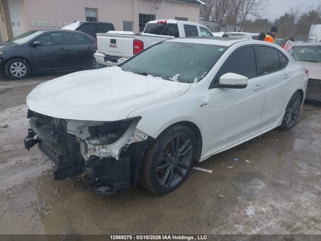 Aukcja sprzedaży 2019 Acura Tlx Tech A-spec, vin: 19UUB1F66KA800233, numer aukcji: 12569275