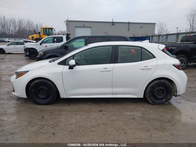 JTNK4RBE8L3101019 Toyota Corolla