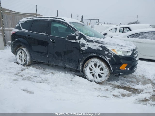 Auction sale of the 2017 Ford Escape S, vin: 1FMCU0F7XHUB92825, lot number: 12569357