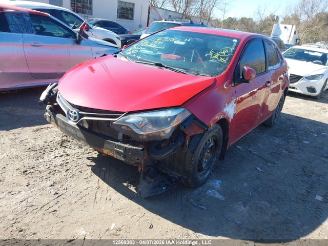 2T1BURHE3GC730504 Toyota COROLLA LE