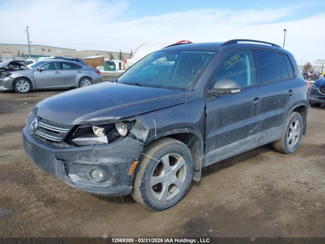 WVGJV3AXXEW620261 Volkswagen Tiguan Comfortline/highline/trendline
