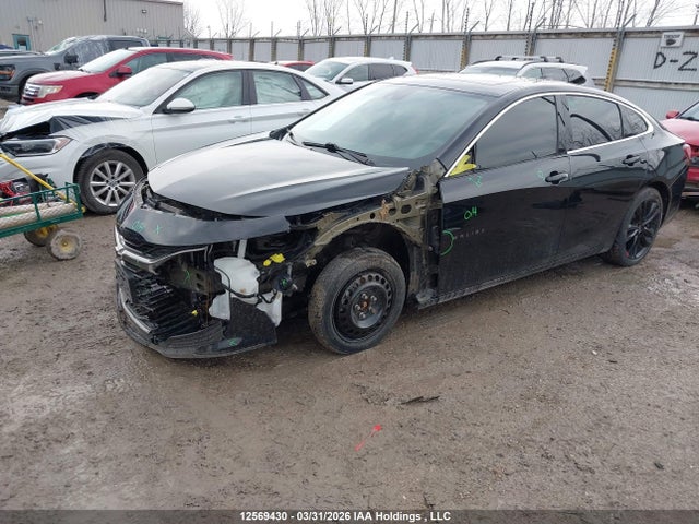 1G1ZD5ST5PF176171 Chevrolet MALIBU 1LT