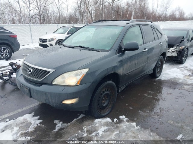 12569440 :رقم المزاد ، JTJHK31UX82046500 vin ، 2008 Lexus Rx 350 مزاد بيع