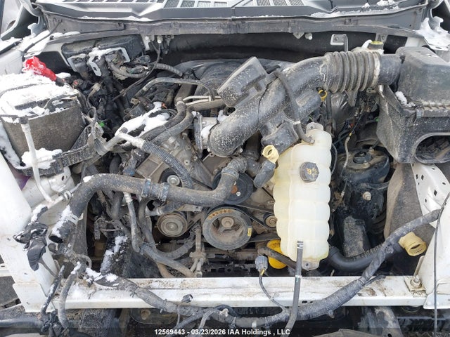 1FTFW3L50RKE90958 Ford F150 Xlt