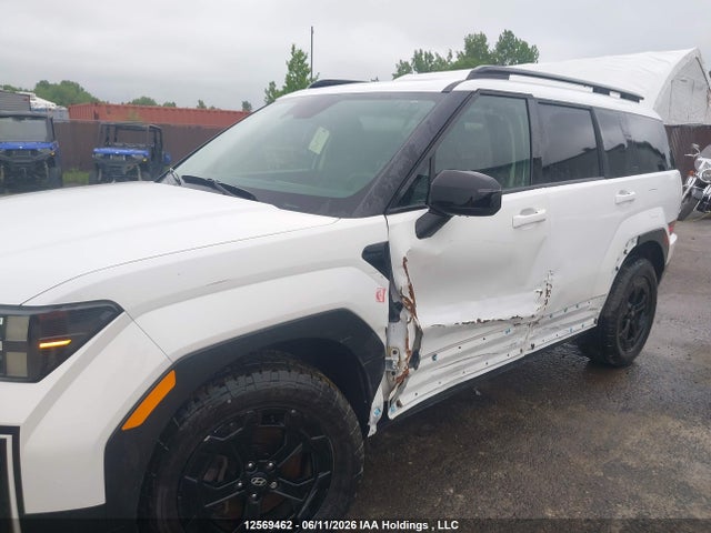 Hyundai Santa Fe Xrt 2025 5NMP3DGL3SH073444 Image 6