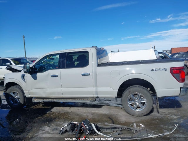 Продаж на аукціоні авто 2024 Ford F150 Xlt, vin: 1FTFW3L81RKE41343, номер лоту: 12569490