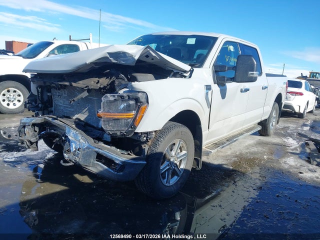 Продаж на аукціоні авто 2024 Ford F150 Xlt, vin: 1FTFW3L81RKE41343, номер лоту: 12569490