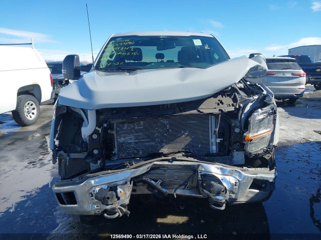 Продаж на аукціоні авто 2024 Ford F150 Xlt, vin: 1FTFW3L81RKE41343, номер лоту: 12569490