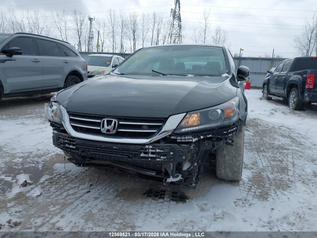 Продаж на аукціоні авто 2013 Honda Accord Ex-l, vin: 1HGCR2F82DA801834, номер лоту: 12569521