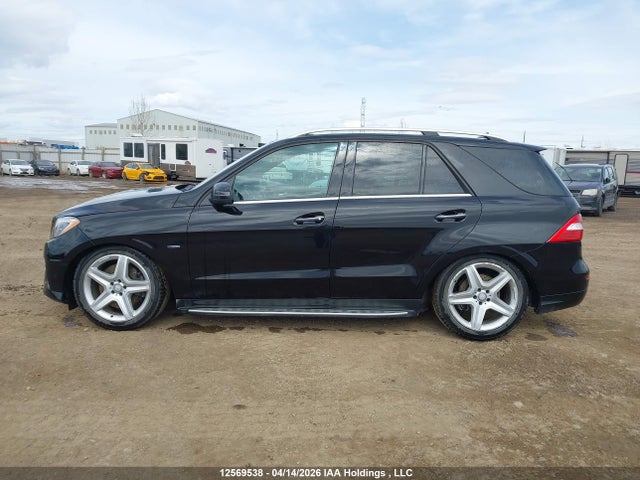 12569538 :رقم المزاد ، 4JGDA7DB7CA056546 vin ، 2012 Mercedes-benz Ml 550 4matic مزاد بيع